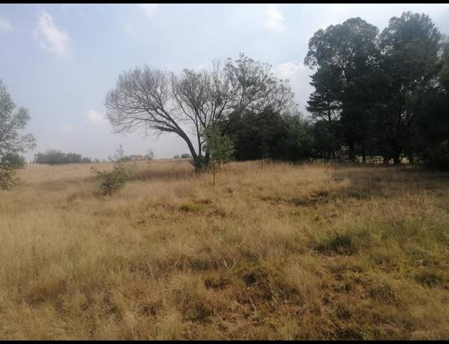LAND FOR SALE IN WALKERVILLE CENTRAL